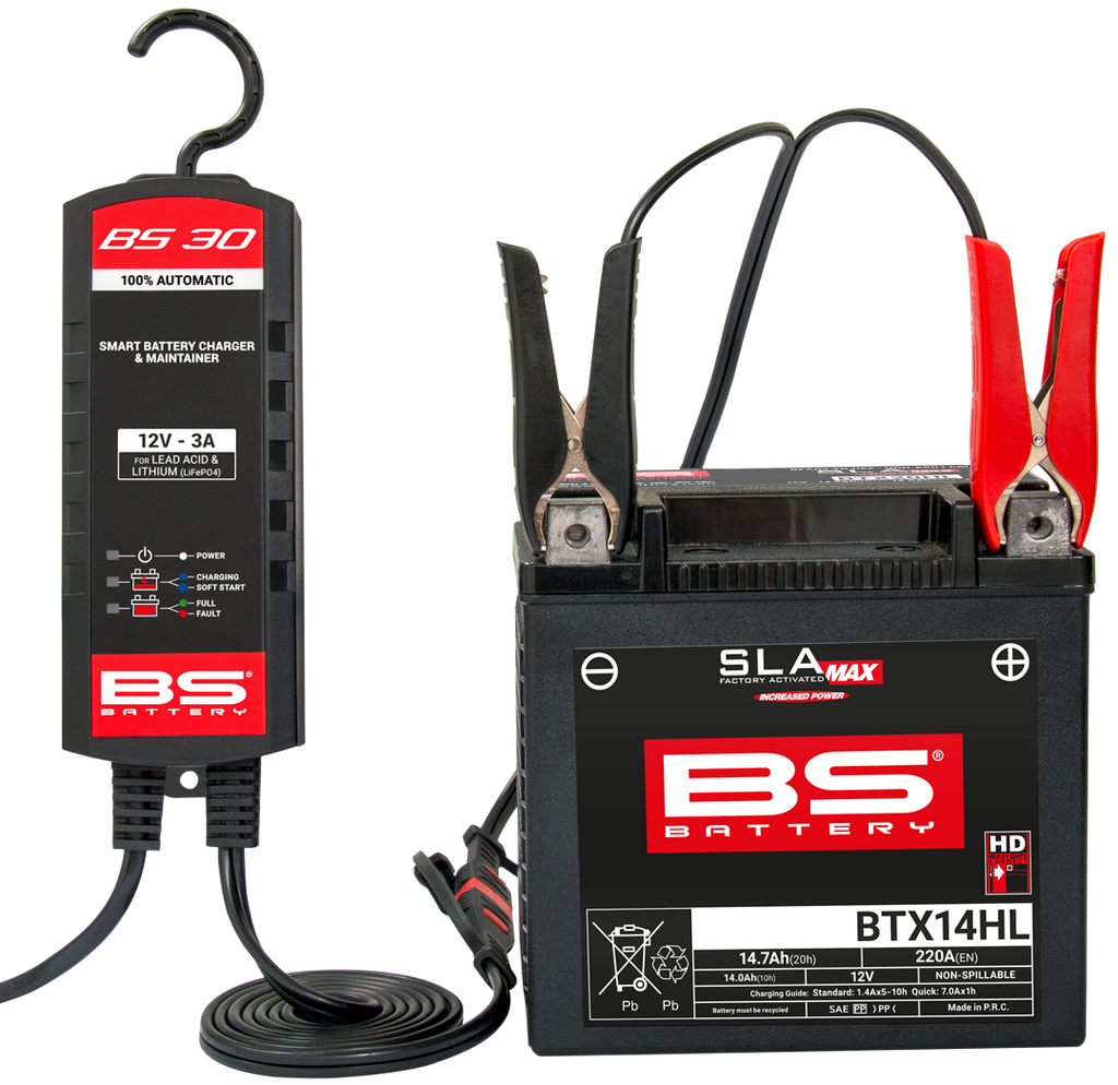 BS30 Charger