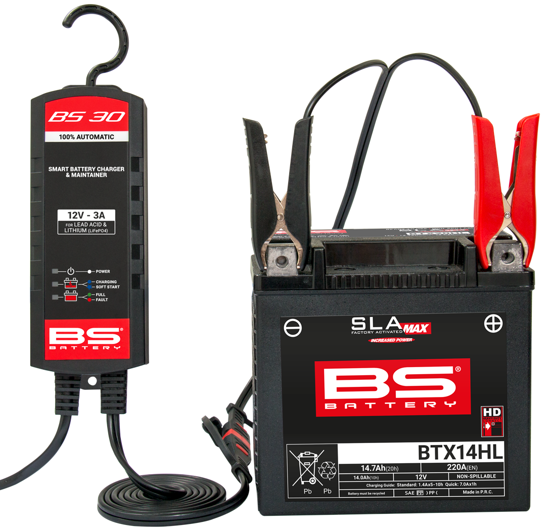 BS30 Charger