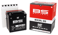 BIX30L-BS Battery