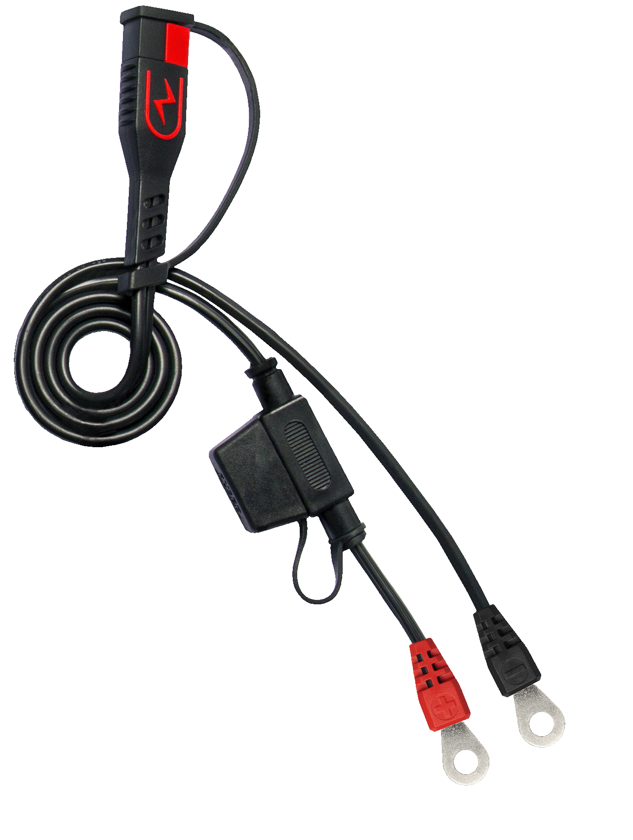 BS30 Charger